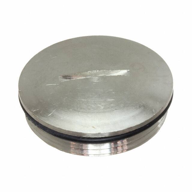 0936000120 METAL BLANKING PLUGS PG29 WITH G