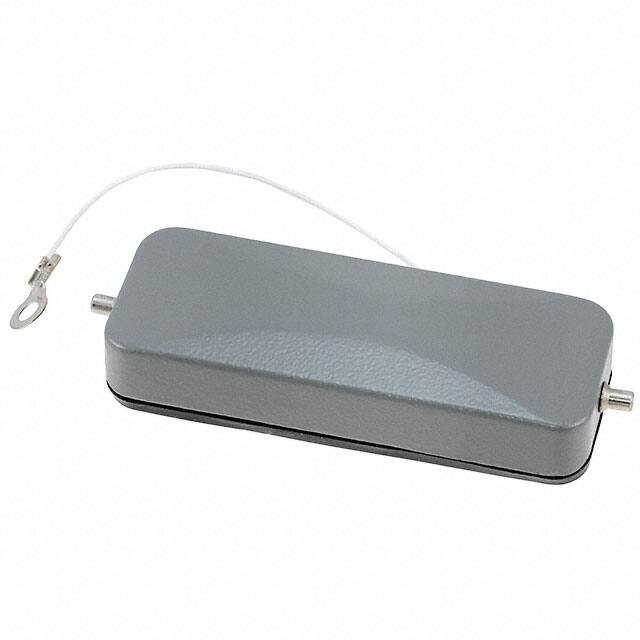 0936012234 COVER WITH 2 PEGS