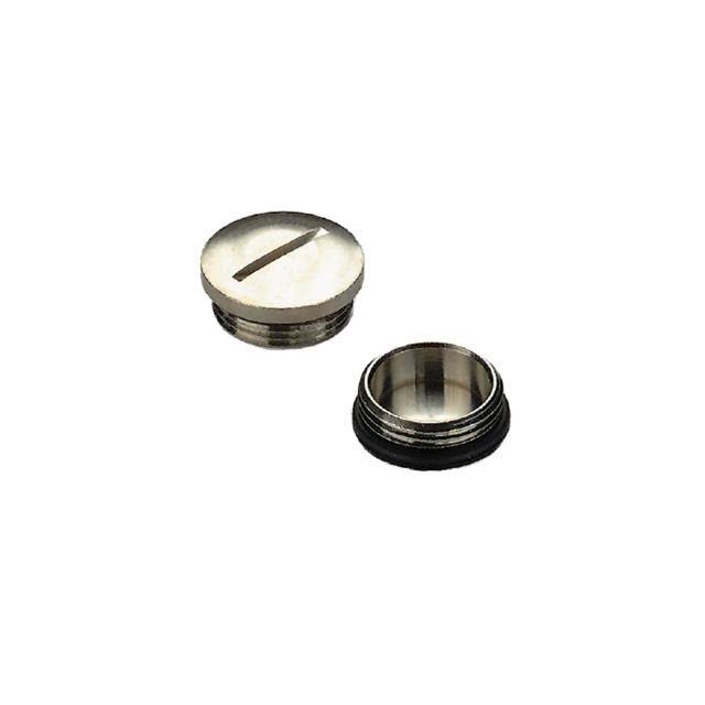 0295000000 PLUG BLANKING BRASS PG 16