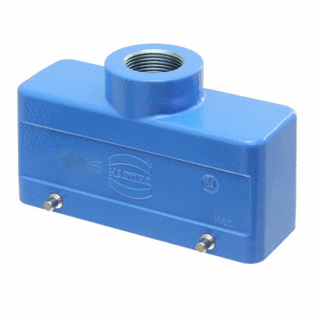 19365241421 24B EX HOOD TOP ENTRY, DOUBLE LE