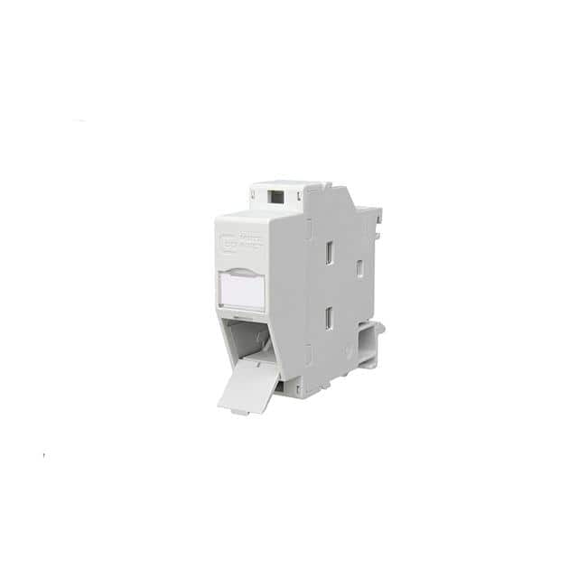 1309428103-E RJ45 KEYSTONE IP20 REGPLUS EDAT