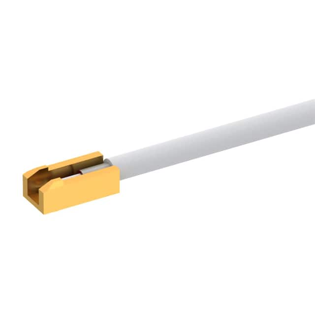 R285020202 PIGTAIL / UMP H2 LOCK - CABLE 1/