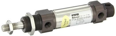 P1A-S025DS-0025 The Parker P1A-S025DS-0025 is a double-acting pneumatic roundline cylinder with a 25mm bore and 25mm stroke. It features a maximum operating pressure of 10 bar.