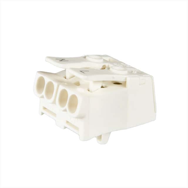 21840 CONN LUMINAIRE 2POLE W/PRNT