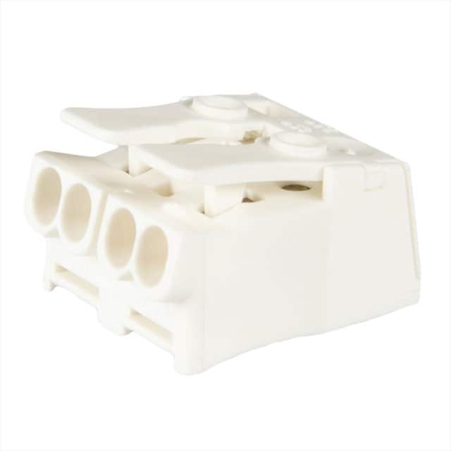21695 CONN LUMINAIRE 2POLE