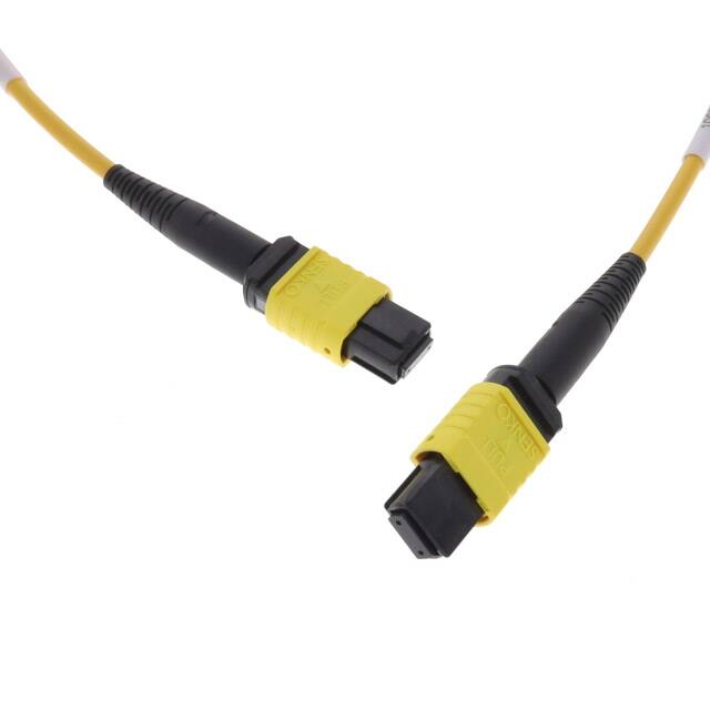 1062250122 MPO(F) - MPO(F) TRUNK CBL, SM 12