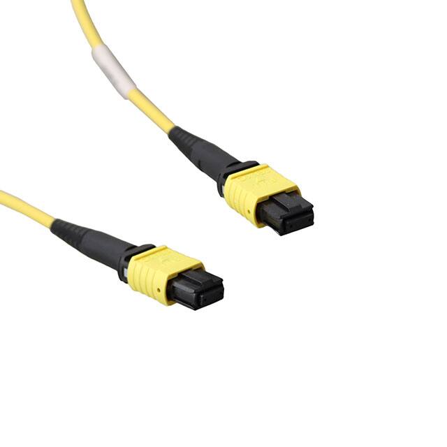 1062250124 MPO(F) - MPO(F) TRUNK CBL, SM 12