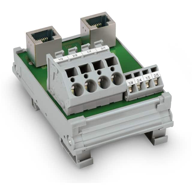 289-965 IM 2XRJ-45