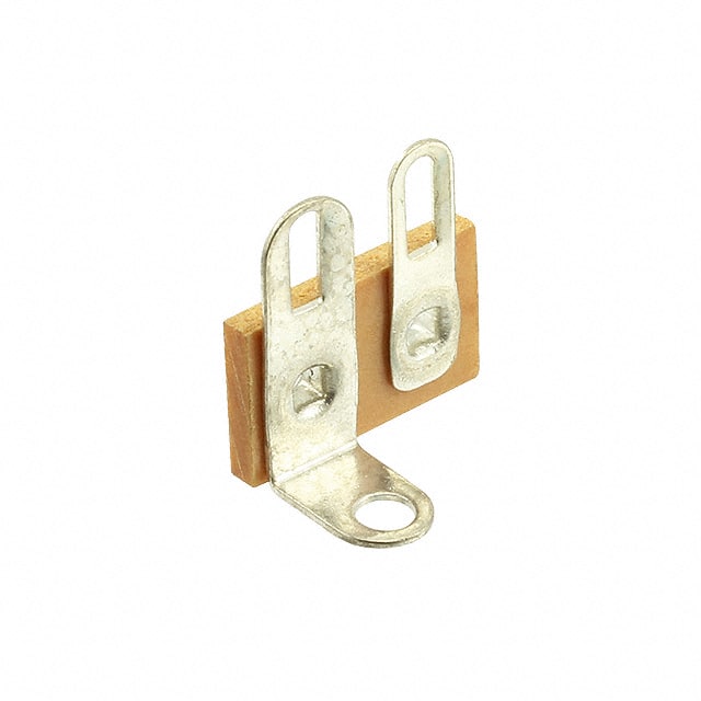 840 TERM LUG STRIP 2POS SINGLE