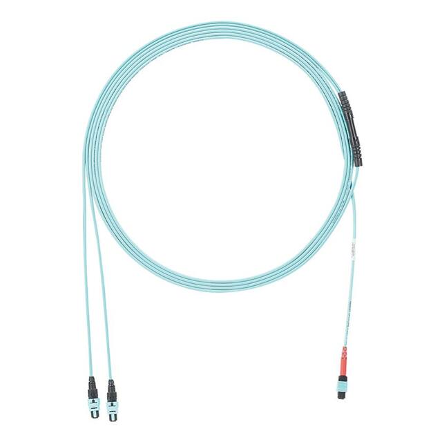 FZURPEN74YNF014 OM4 24-FIBER, INTERCONNECT, PLEN
