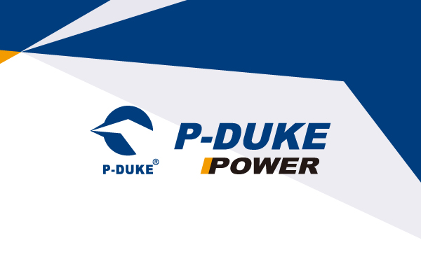 PFKC05-12S05 The PFKC05-12S05 is a DC-DC converter from P-DUKE Technology, Inc. It features a 5VDC output voltage and a 9-18VDC input range.