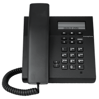 IP101 The IP101 is an entry-level IP phone from ICPLUS featuring a monochrome LCD display and 10/100 Ethernet connectivity. It supports Power over Ethernet (PoE) and offers features like G.722 codec and SIP protocol.