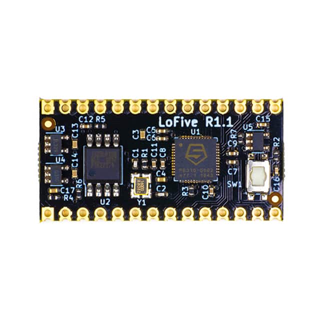 LOFIVE-R1 SIFIVE FE310-G002 RISC-V DEV