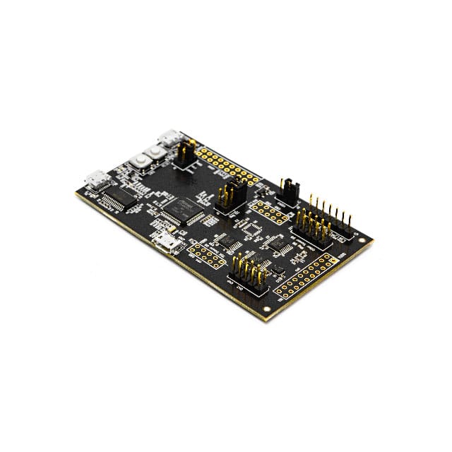 DK-42652 IIM-42652 DEVELOPMENT KIT