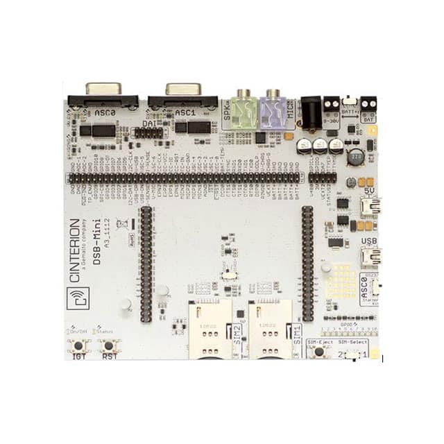 DSB MINI DSB MINI DEV SUPPORT BOARD