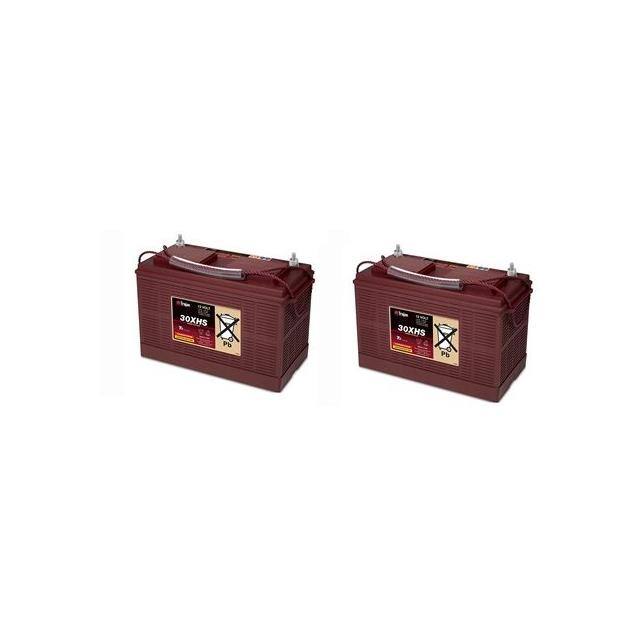 PAS20 24 VOLTS 2 PACK Replacement for Powr-Flite PAS20