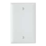 TP13-W The Legrand-Pass & Seymour TP13-W is a blank wallplate from the TradeMaster series. It features a rugged, molded thermoplastic construction and a matte white finish.