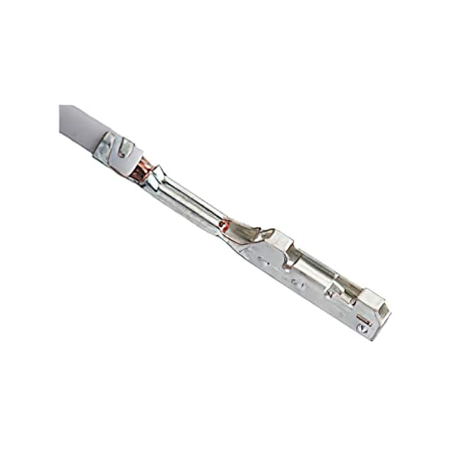 0349056447 CTX50 S RCPT TERM AG L1G DWND MS