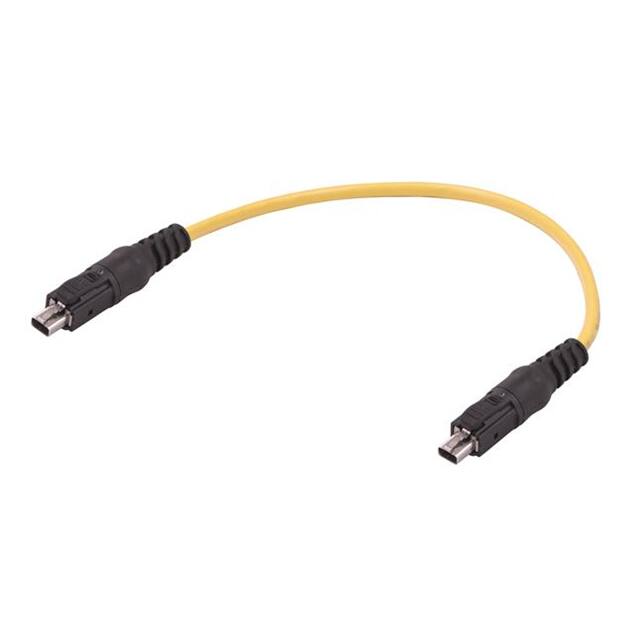 33280101002200 CABLE MOD 2P2C PLUG-PLUG 65.62'