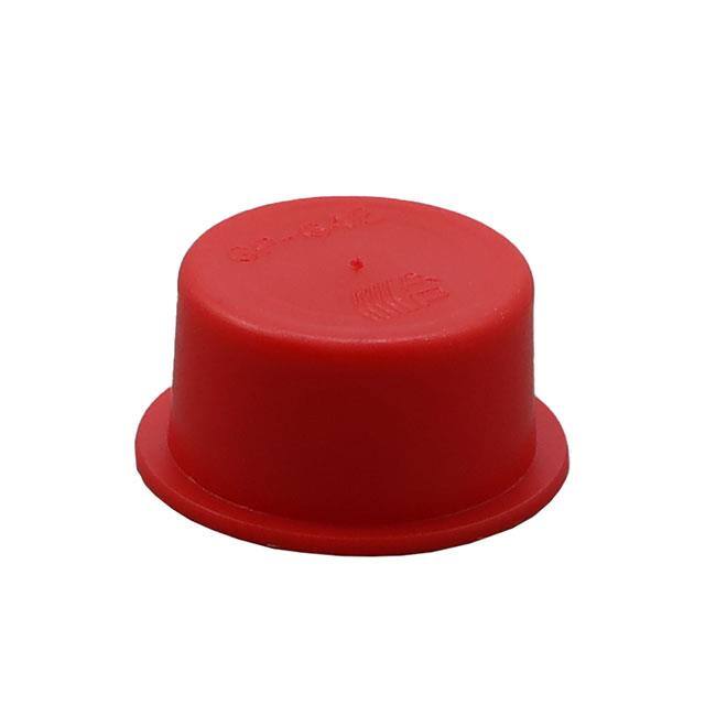 10731A BSP/GAS THREADED PROTECTION PLUG