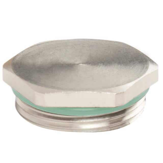 HP-21-SS-V HEX PLUG STAINLESS STEEL PG21 W/