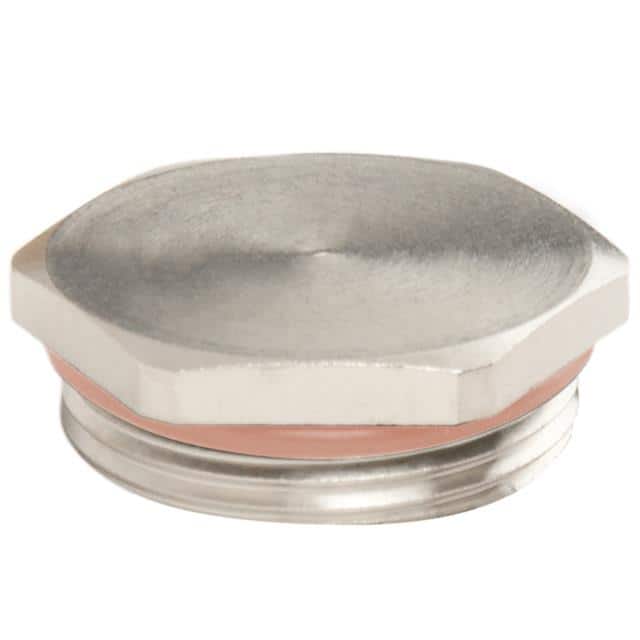 HP-36-SS-S HEX PLUG STAINLESS STEEL PG36 W/