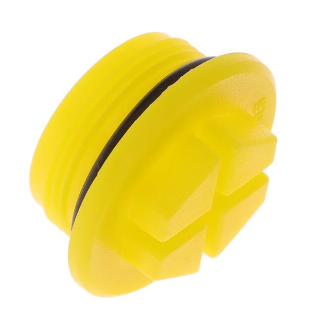 498546 THREADED O-RING PLUG 38.0 MM  1.