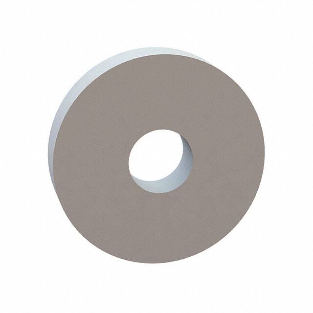 17W03122 FLAT WASHER, .095 ID, .312 OD, .