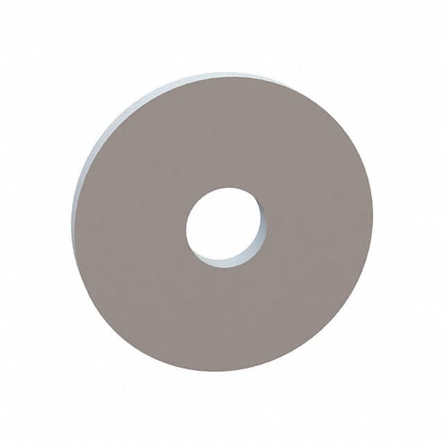 17W06302 FLAT WASHER, .171 ID, .630 OD, .