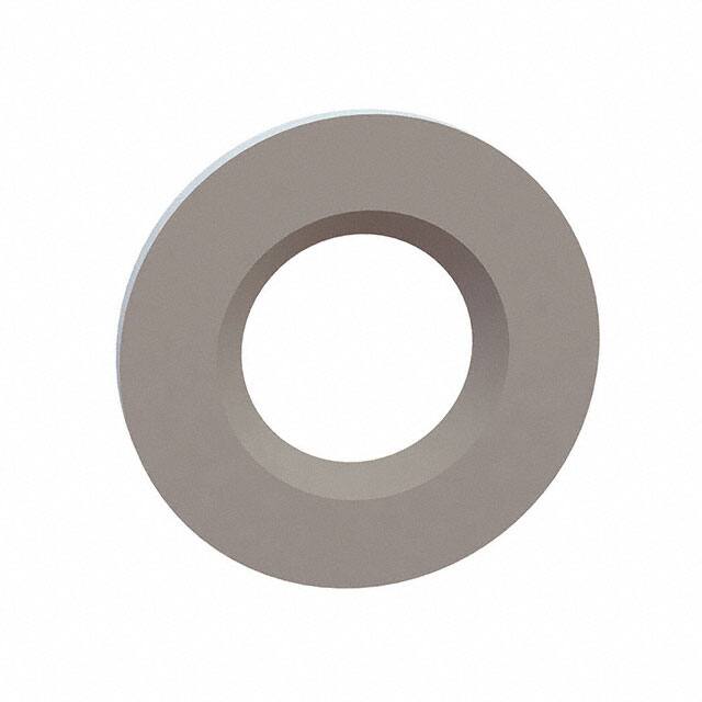 17W06251 FLAT WASHER, .301 ID, .620 OD, .