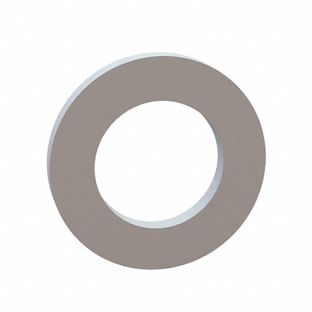 17W02954 FLAT WASHER, .185 ID, .310 OD, .