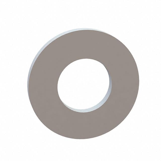 17W13101 FLAT WASHER, .645 ID, 1.310 OD,