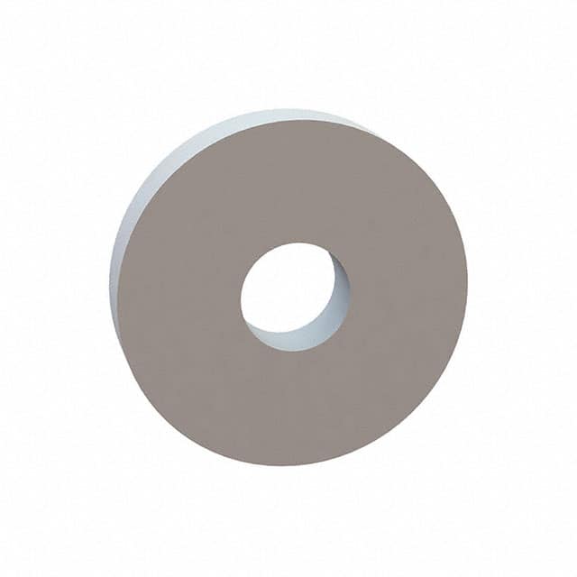 17W10014 FLAT WASHER, .313 ID, 1.000 OD,