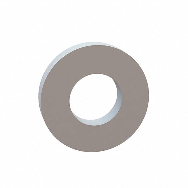 17W09902 FLAT WASHER, .485 ID, 1.003 OD,