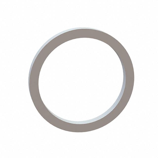 17W15009 FLAT WASHER, 1.000 ID, 1.000 OD,