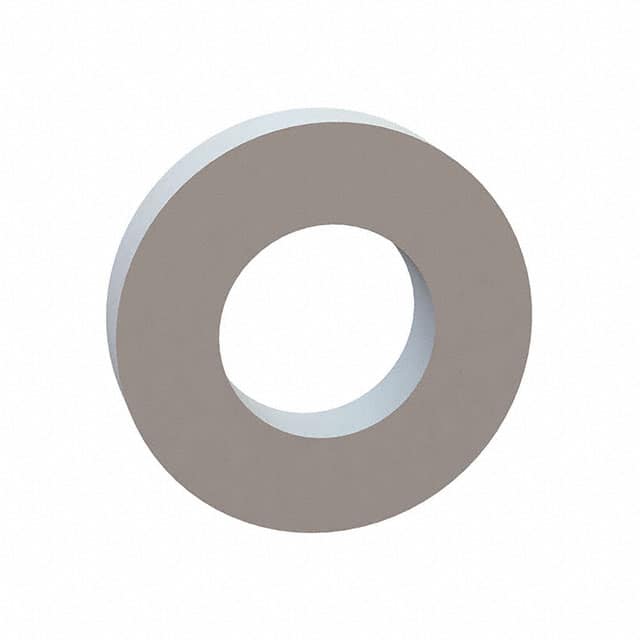 17W03130 FLAT WASHER, .162 ID, .312 OD, .