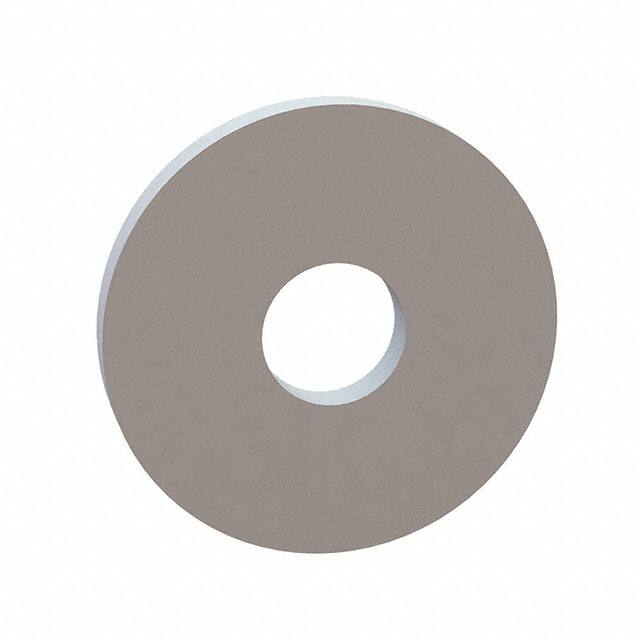 17W03143 FLAT WASHER, .100 ID, .316 OD, .