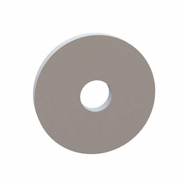 17W11750 FLAT WASHER, .310 ID, 1.175 OD,