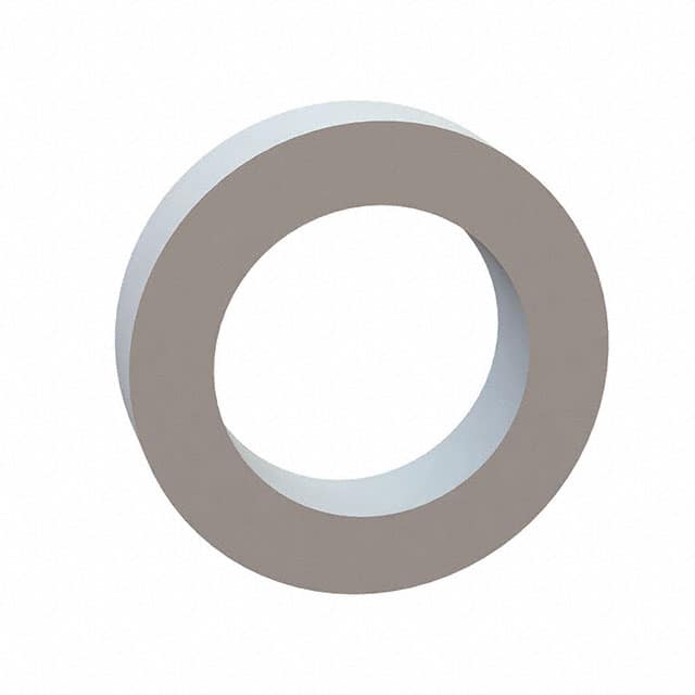 17W01552 FLAT WASHER, .169 ID, .257 OD, .