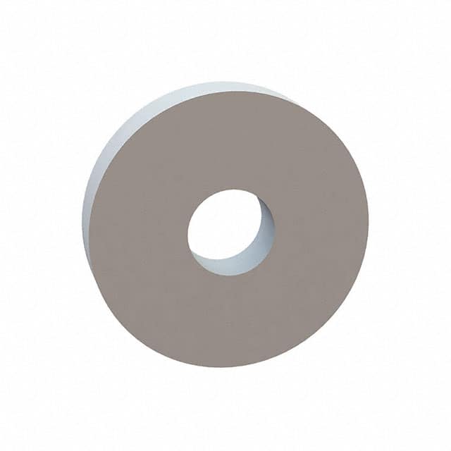 17W04606 FLAT WASHER, .157 ID, .505 OD, .