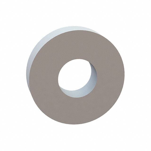 17W04951 FLAT WASHER, .205 ID, .500 OD, .