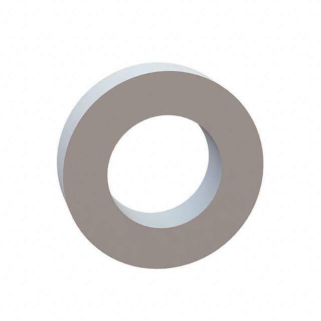 17W02956 FLAT WASHER, .169 ID, .296 OD, .