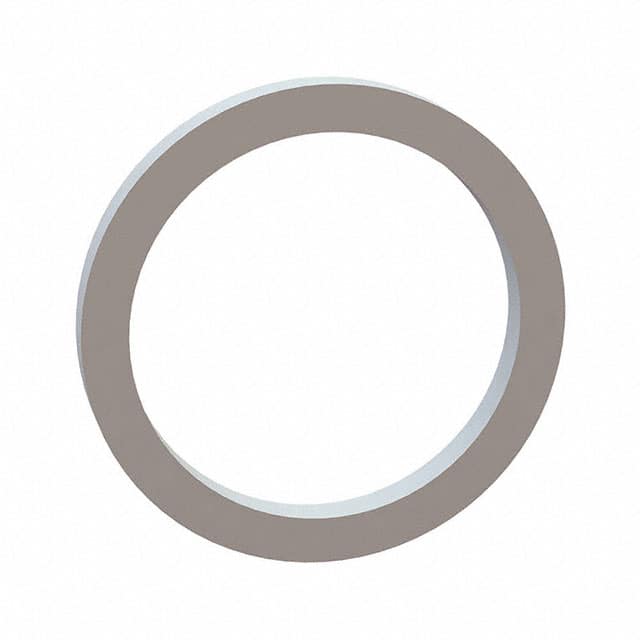 17W07001 FLAT WASHER, .565 ID, .700 OD, .
