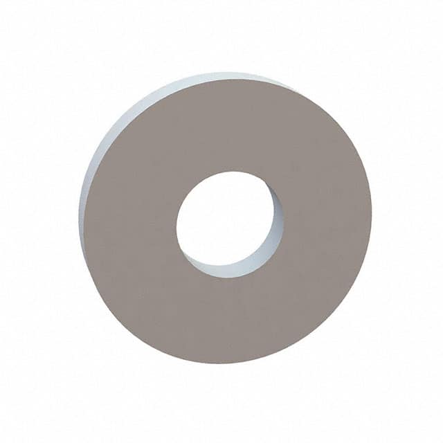 17W06593 FLAT WASHER, .250 ID, .670 OD, .