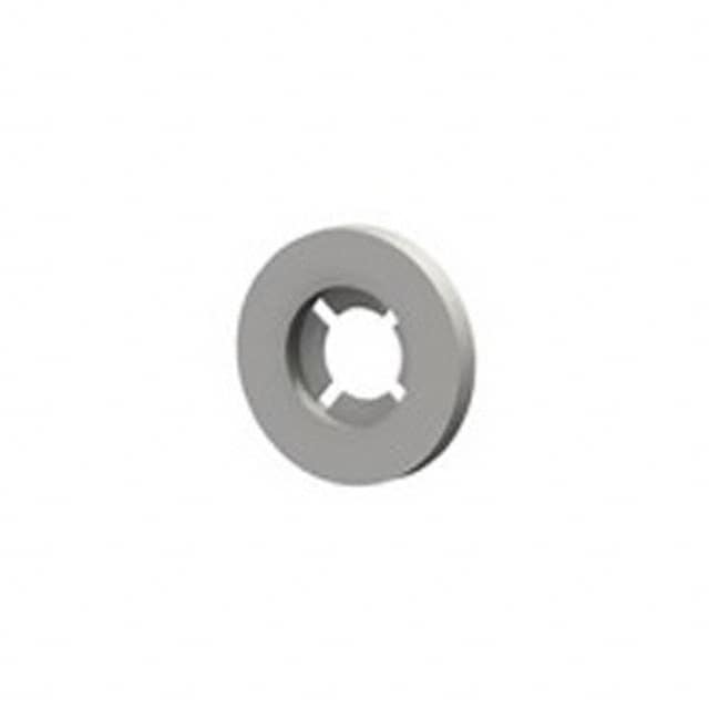 2291 WASHER FLAT RETAINING #10 NYLON