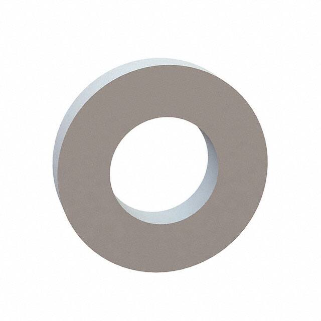 17W03101 FLAT WASHER, .160 ID, .310 OD, .