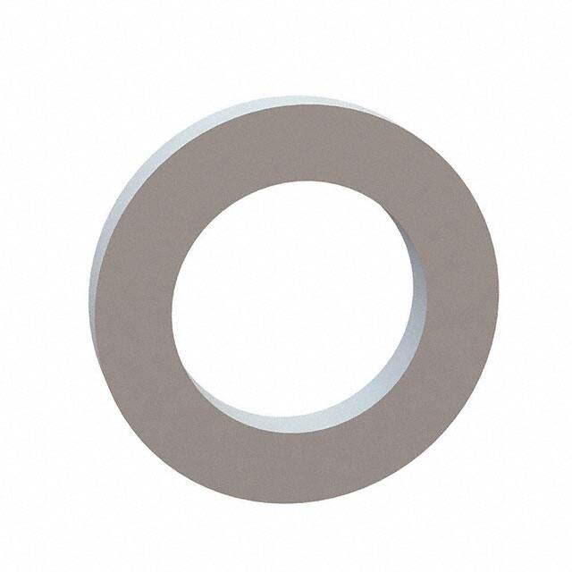 17W10008 FLAT WASHER, .631 ID, 1.000 OD,