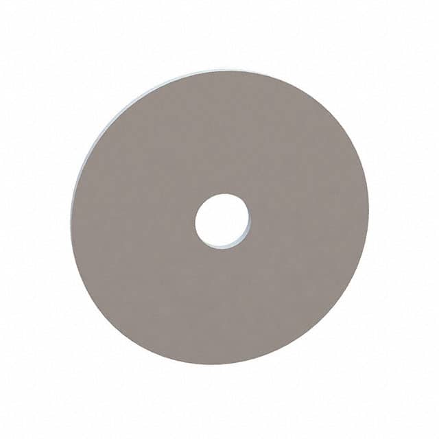 17W09903 FLAT WASHER, .189 ID, 1.006 OD,