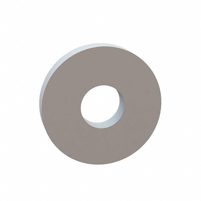 17W07302 FLAT WASHER, .266 ID, .731 OD, .