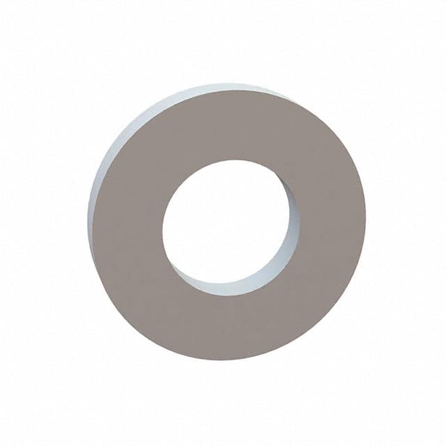17W10034 FLAT WASHER, .503 ID, 1.002 OD,